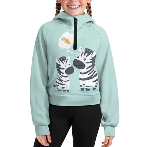 AFPANQZ Girls Half Zip Sweatshirt Hooded Pullover for 5-14 Years Casual Long Sleeve Tops Fall Winter Clothes