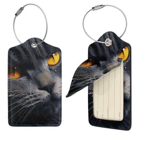 Étiquettes de bagage en cuir (lot de 4) avec motif de chat pour valise et voyage