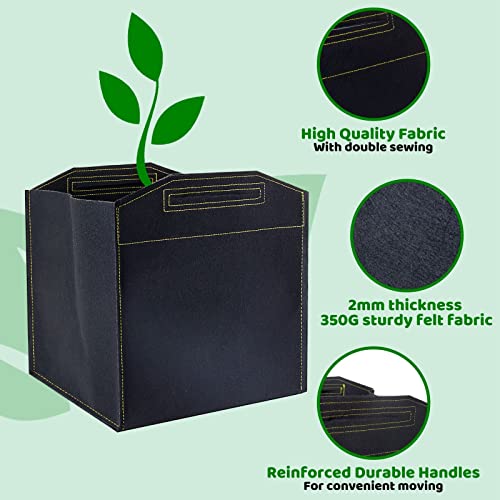 Growerz Square GrowPotz 20-Litre 5pcs High Strength Grow Bag, Black, 20L - Image 3