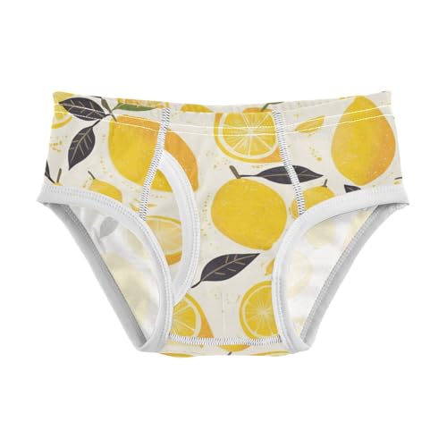 KLL Fresh Lemons Hand Drawn Doodle Toddler Boys' Pure Cotton Boxer Briefs Cute Undies