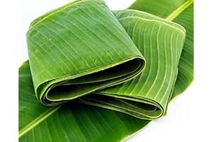 Premium Fresh Banana Leaves for Cooking
