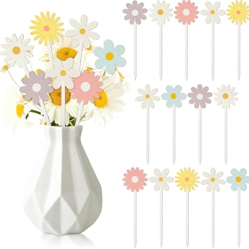 Valentine's Day Double-Sided Heart Picks Colorful Romantic Rainbow Wooden Heart Pick Decorative for Table Centerpiece (Daisy)
