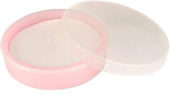 Silicon Wafer Box - 6 inch Wafer Carrier for 25 pcs 6" 150mm Silicon Wafers,including Container, Cover,ESD PU Sponge & Separator Paper
