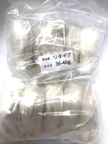 【国産】冷凍リタイアマウス 10匹入り(36-48g/1匹)小分けパック ※クール便