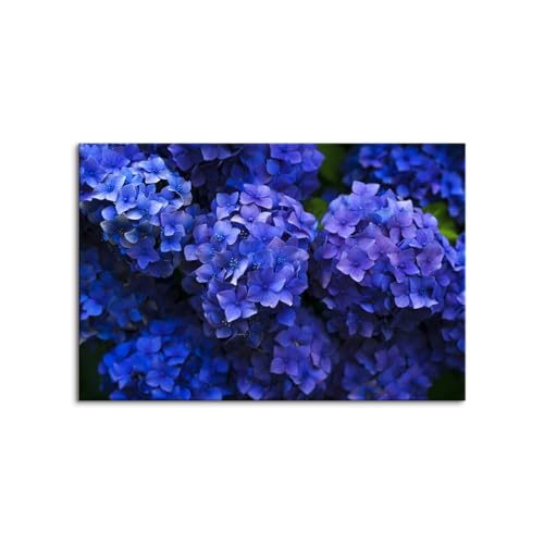 ؘgt̊i z AWTC  CeA ǖ  ܂G i iF i  t G v[g  ObY xmR O[  ̓? (60x90cmi24x36inj,D)