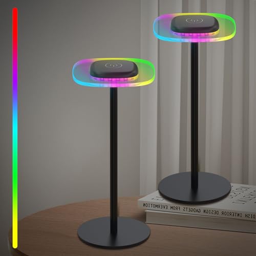 ERAY Rechargeable Table Lamp Cordless with RGB Color Changing - Small Cordless Touch Light with Memory Function, Dimmable Battery Bedside Lamp for Bedroom Dining Patio Party Restaurant Bar, 2 Pack