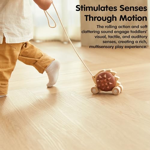 Image of PlanToys Wooden Pull Along Hedgehog | Montessori Pull Toy for Toddlers | Walking Toy with Sound, Early Learning, Balance & Coordination | Eco Friendly Wooden Toy