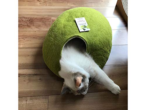 Cat Bed, House, Cave, Handmade, Handmade Birch Green Large #TOP5