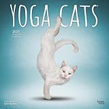 BrownTrout, Yoga Cats 2025 Wall Calendar
