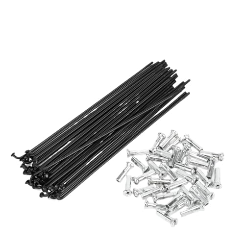 Rayons de roue de vélo 14G haute résistance en acier au carbone pour un rayonnage durable