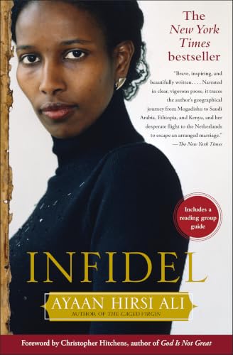 Infidel view 2