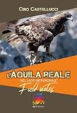 L'aquila reale nel Lazio Meridionale. Field notes
