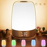 Vicsoon Touch Wake Up Night Light with Alarm Clock Dimmable Warm White Small Bedside Lamp with Sleep