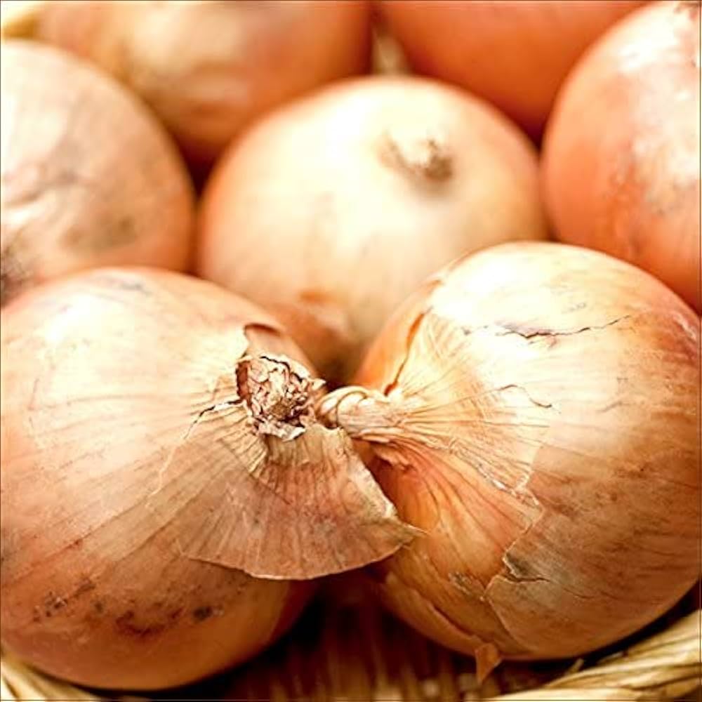 Amazon.co.jp: 北海道産 玉ねぎ 黄玉葱 3kg (JA共撰/M-Lサイズ