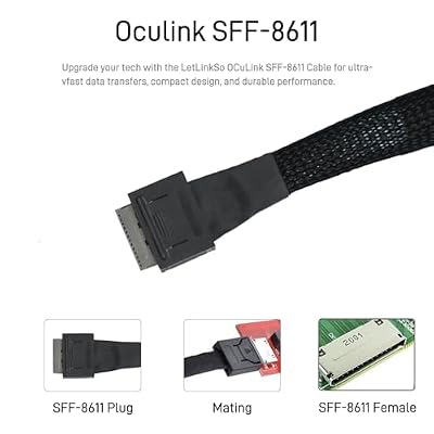 Oculink Cable PCIe 4.0 SFF-8611 to SFF-8611 8i Cable for Server (1.6 feet (50 cm))