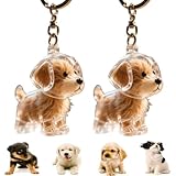 2 Pcs Dog Hair Collector Keychain Charm Memorial Storage Box, 2025 New Fur Life Pendant for Dogs, Pet Hair Memorial Keepsake, Portable Pet Memory Capsule, Birhthday Gift for Pet Lovers(A)