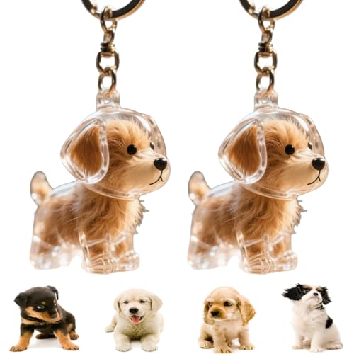 2 Pcs Dog Hair Collector Keychain Charm Memorial Storage Box,