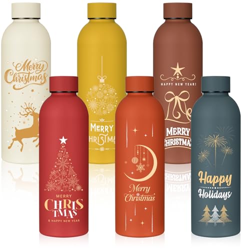LemonRoad 6 Pcs Christmas Stainless Steel Cup, 17 oz Employee Appreciation Reusable Gift, Thank You Water Bottle Bulk, Color Sport Bottle, Inspirational Team for Coworker Teacher Nurse Staff Gift by LemonRoad - Used condition - US$13.35
