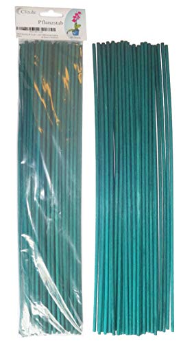 O&W Security - 40 unidades de varillas para plantas de tomates, de madera, color verde, 40 cm de diámetro, ecológico, 100% compostable Produktname