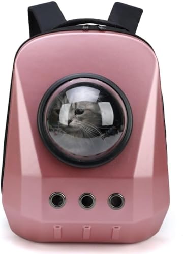 ybgpobNpbN ^LpobNpbN Ϗd8kg FDJvZLXXy[X y |[^u ^ Lp (}bgsN)