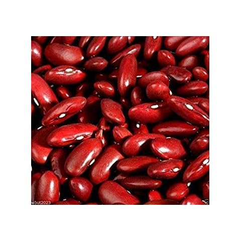 Petsdelite ® Kidney Bean, Large Dark Red (1/4 Lb Seeds), Heirloom Grown Organically Cover