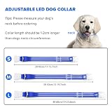 Feycig Leuchthalsband Hund USB Aufladbar - LED Hundehalsband Leuchtend Wasserdicht Leuchtendes Hunde Halsband Einstellbare für Kleine Mittlere Große Hunde, 3 Modi