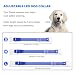Feycig Leuchthalsband Hund USB Aufladbar - LED Hundehalsband Leuchtend Wasserdicht Leuchtendes Hunde Halsband Einstellbare für Kleine Mittlere Große Hunde, 3 Modi