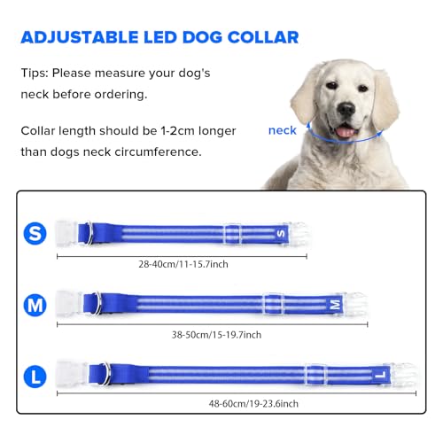 Feycig Leuchthalsband Hund USB Aufladbar - LED Hundehalsband Leuchtend Wasserdicht Leuchtendes Hunde Halsband Einstellbare für Kleine Mittlere Große Hunde, 3 Modi
