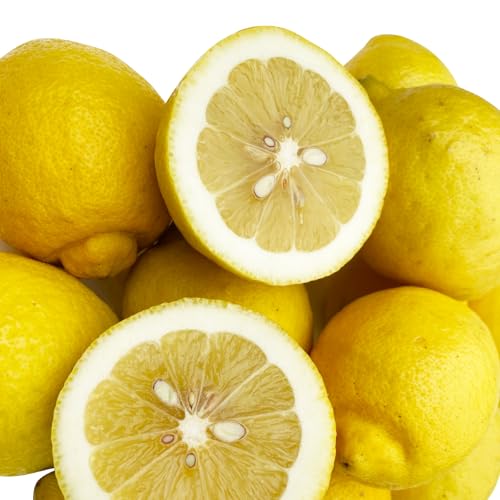 [先行予約]日本海で育ったうちうらレモン「リスボン2.5kg」皮まで丸ごと食べられます!(農薬不使用) レモン[2026年12月下旬より順次発送]