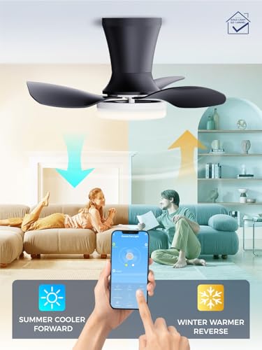 Image of LANMEL Ceiling Fan with Light, Modern Flush Mount Low Profile with Remote Control, Reversible, 3CCT Dimmable, Quiet,LED for Bedroom, Living Room, Indoor /Outdoor Patio Use 22 Inch Silver & Black
