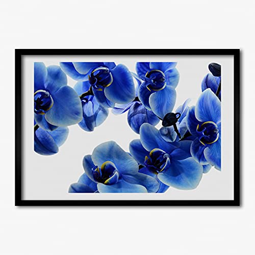 Cadre bois Orchidée Bleue 70x50 cm, tableau de qualité pour chambre