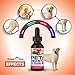Pamper Paws Hemp Oil for Dogs and Cats - Organically Grown - Pet Relief Formula Reduces Anxiety, Supports Hip & Joint Health (Pack of 2)