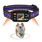 Billg Cloture Electrique pour Chien, 3 Modes Clôture Anti Fugue, Résistant à L’Eau Collier de Dressage pour Grands Espaces Ouverts et Utilisation en Extérieur, Portée de 20 à 2000 M