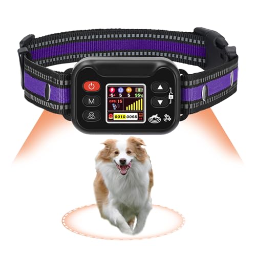 Billg Cloture Electrique pour Chien, 3 Modes Clôture Anti-Fugue, Résistant à L’Eau Collier de Dressage pour Grands Espaces Ouverts et Utilisation en...