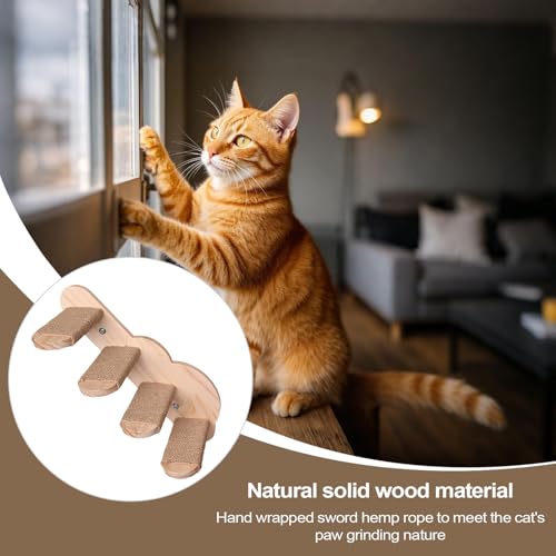 Échelle en bois pour chat à monter pour protéger l'espace