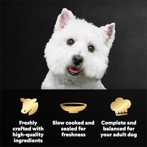 Cesar Mini-Pouch Wet Dog Food, Porterhouse Steak Flavor, 1.76 oz, 20 Count