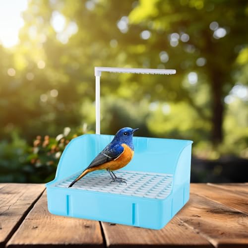 Baoblaze Acessório de banho para pássaros, caixa de chuveiro leve e removível, Azul