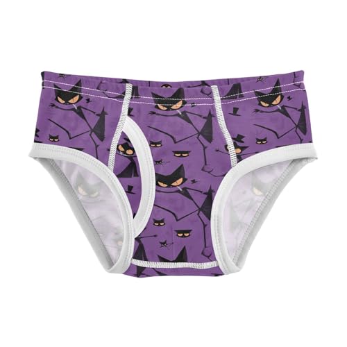 visesunny Boys Potty Training Underwear Evil Black Cat Purple Breathe Cotton Briefs Size 2T-8Y for Toddler