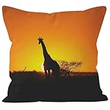 📍Hidden Zipper Design: The hidden zipper closure ensures a seamless and sleek look, allowing for easy insertion and removal of cushions without compromising on the overall design.