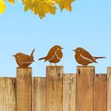 Vausart 3PCS Rusty Birds Decor, Metal Birds Yard Decor,Rusty Garden Decor | Cute Metal Birds Garden Ornaments Silhouette- Garden Sculptures and Yard Art, Rustic Birds Decoration Outdoor Patio Yard