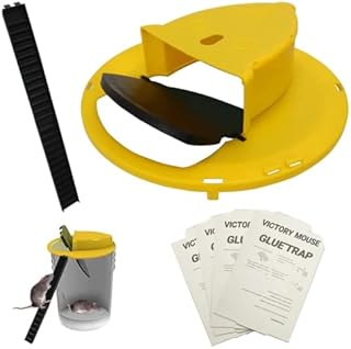 MAVRIK Bucket Mouse Trap Lid – Four Free Sticky Glue Traps – Traps Rat, Mole and Squirrel, Indoor and Outdoor