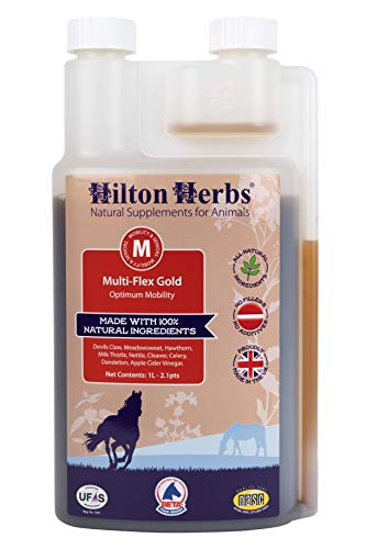 Hilton Herbs Multiflex Gold Liquid Joint & Muscle Supplement For Horses, 2.1Pt Bottle #TOP3