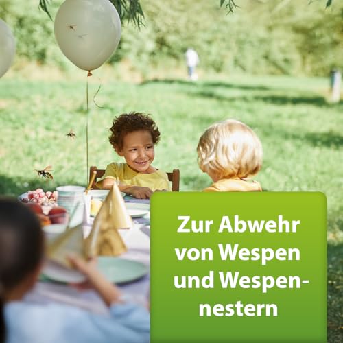 ARDAP Repell Wespenspray 400ml - Wespen vertreiben - Wespen Spray - Anti Wespen Outdoor - Wespenspray Sofortwirkung - Insektenspray Wespen - Spray gegen Wespen - Wirkt schnell & effektiv (PT19)