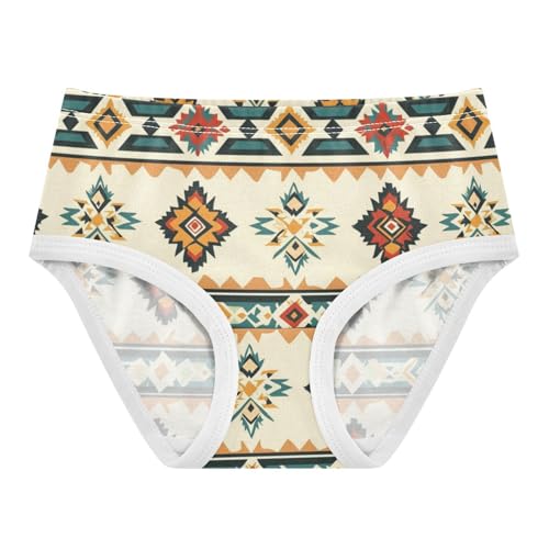 ZZKKO Ethnic Aztec Patterns Girls Underwear Toddler Panties for Girls Comfort Brief Size 8Y