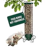 Droll Yankees Squirrel Proof Bird Feeders for Outdoors - YF-M - Flipper, Collapsible Perches, 5-Pound Seed Capacity, Green