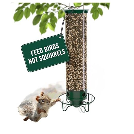 Premium Squirrel Proof Bird Feeder