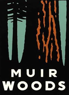 MAGNET 3x4 inch MUIR WOODS Art Poster BUMPER STICKER - cali ca rv national park hike go Magnetic Magnet Vinyl Sticker