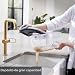 Imagen de Vacmaster SCA0801 Aspirador de alfombras Limpiador de Manchas Multisuperficie para Alfombras