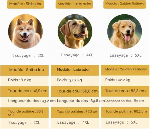 Impermeable chien vert 2XL - Protégez votre ami de la pluie