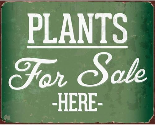 Dnhutwsvsb Plants for Sale Garden Centre Allotment Greenhous